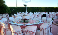 Comedor: Banquete rosa